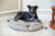 Armarkat Small Dog or Cat Pet Bed Mat M07FXM