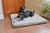 Armarkat Small Memory Foam Dog or Cat Pet Bed Sage Green & Grey M06HHL/HS-S