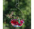Droll Yankees Ruby Sipper Hummingbird Feeder Clear DYRS3HC
