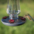 Perky Pet Starglow Vintage Glass Hummingbird Feeder 8132-2 