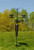 



: Squirrel Stopper Olympic/ Shenandoah 


Use With: 


•Hanging bird feeders, wind chimes, hanging plants, birdhouses and other yard or garden accent pieces
•Please install the pole system 10 feet from poles or walls to prevent squirrels from jumping onto feeders. 
•The Shenandoah/Olympic is made by the same company that makes the Squirrel Stopper Deluxe Pole System!

 








Baffle 


Squirrel Stopper Baffle 

The secret is in the baffle! Our Squirrel Stopper Baffle features an all metal design and uses our patented spring technology so the baffle is able to move up and down and side to side when squirrels try to climb it! It is proven to stop squirrels from ground attacks. The Squirrel Stopper Baffle works best when used placed at least 10 feet from any trees, walls, overhangs, or anything a squirrel may use to jump from! 
 











Threaded Joints 

 


Auger 

 


Installation 

 


Threaded Joints 

Our threaded joints will securely connect your pole segments together without fear of rough weather detaching them. The secure connection is perfect for keeping your bird feeders, houses, and more where they are supposed to be instead of on the ground. 
 

Attached Auger 

The attached auger calls for easy installation! The auger will drive the pole into the ground so it will stay right where you put it! The auger will work with any soil type. Depending on the type of soil, some loosening might need to be done to help guide the auger. 
 

Easy Installation 
Squirrel Stopper Olympic Bird Feeder Pole and Baffle With 3 Hangers Holds 3 Bird Feeders 
The auger and twist rod make for easy installation. Just slide the twist rod into the holes near the top of the lower pole and begin to turn the pole clockwise into the ground. 
 
