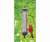Weems & Plath Conant Bird Feeder Thermometer 1 lb capacity Bronze Patina CCBBFT26BP