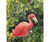 Songbird Essentials Pink Flamingo 12 in x 4.5 in x 5 in Birdhouse SE3880034