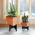 Achla Designs Solaria Collection 16 inch Zaha Planter with Stand