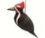 Songbird Essentials Woodpecker Birdhouse SE3880308 