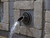 Atlantic RAVENNA WALL SPOUT WSR-O