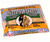 Wildlife Sciences Mealworms and Nuts Blend 11 oz Suet Cake, 12 Pack WSC212 