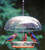Aspects 278 Bird Feeder Vista Dome ASPECTS 278