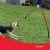 Tether Tug V2 Outdoor Dog Toy Interactive Tugging Pull Exercises Up To 70 lbs
 Tether Tug V2 BIG Outdoor Dog Toy Interactive Tugging Pull Exercises Over 70 lbs