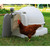 Good Ideas Mini Chicken Coop (QCOOP)