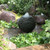 Aquascape Extra Small Stacked Slate Sphere 18 Inch Fountain 78358