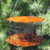 Erva Caged Double Suet Feeder, Copper Finish