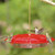 Aspects HummZinger Excel Hummingbird Feeder, 16 oz. 