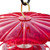 Aspects HummZinger Excel Hummingbird Feeder and HummBrella Dome