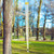 S&K Tornado Clear Collapsible Finch Feeder
Provide a wealth of thistle seed to several backyard birds with the S&K Tornado Clear Collapsible Finch Feeder. This piece blends classic shape with innovative design, for a wonderful addition to your bird garden. The generous, 29.5" long, plastic seed tube captures attention in moments, while its clear perches bring elegant style to the area. This reservoir holds 1.75 quarts of thistle seed, and 12 ports along the body offer birds plenty of places to reach the feed. The clear perches install through each section of this tube, keeping the collapsible item securely locked in its extended position and ensuring birds can perch while dining. A sponge at the base of the tube keeps the feed inside the reservoir, while allowing any water to drain from it. The bright yellow, plastic cap with its attached cable makes it simple to hang the feeder from a bracket. The package also includes an extra sponge and cap, for you to create two separate feeders rather than one large one. Tabs on the top and base of each section also align for a securely extended feeder, and the clear plastic keeps feed levels visible at a glance. Conveniently and colorfully feed several finches with this Tornado Clear Collapsible Finch Feeder.



Birds that use this feeder:
chickadees, finches, goldfinches, redpolls, and siskins
Seed or Feed Options: thistle seed
Capacity: 1.75 qts., 2.65 lbs.; 12 ports
Dimensions: 2.25" top dia. x 30"H fully extended
Mounting: hang
Construction: plastic