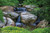 Aquascape Medium Pondless Waterfall Kit 16' Stream
The Aquascape Medium Pondless Waterfall Kit comes complete with everything you need to incorporate the sights and sounds of cascading water into your yard or landscape, providing up to a 16' Pondless Waterfall. All necessary components are provided in a convenient, all-in-one kit that takes the guesswork out of purchasing individual components. The SLD 4000-7000 Adjustable Flow Pump provides flow rates up to 7,000 gallons per hour and is able to handle solids making it reliable and easy to maintain. The SLD pump can be controlled from anywhere using the Aquascape App on your smartphone or tablet. The included Pondless Waterfall Vault makes accessing your pump and checking water levels quick and easy and the AquaBlox eliminate the need to fill your basin with large quantities of gravel and stone. A complete LED lighting package is included to help bring the waterfall to life at night. The kit also includes the Automatic Dosing System for Fountains with water treatment, automatically adding water treatments to the waterfall when needed.

Kit Includes:

SLD 4000-7000 pond pump
Waterfall Spillway 22″
Pondless Waterfall Vault
(5) AquaBlox Small Water Storage Modules
Check valve assembly
(2) 1-Watt Waterfall and Up Lights
60-Watt Transformer with Photocell
3-Way Splitter
25′ Extension Cable
Automatic Dosing System for Fountains with 32 fl. oz. water treatment
Flexible PVC Pipe – 2″ x 25′
45 mil fish safe EPDM liner – 10′ x 20′ (stream) and 10’x 12′ (reservoir) with 120 sq. ft. of protective underlayment
Welcome Kit
Installation Kit containing silicone, pond and waterfall foam sealant, PVC cement, and more