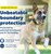  PetSafe Guardian GPS Dog Fence PIF00-17933 No Subscription 
