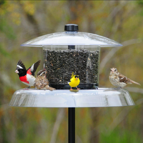 Droll Yankees Jagunda Squirrel Proof Bird Feeder With Pole Dy Jag