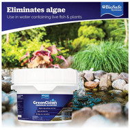 GreenClean Granular Algaecide - Algae Control 8 lb. 3002 8