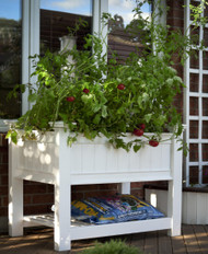 Grow your favorite herbs or flowers in a convenient new place with the New England Cambridge Raised Planter Bed. The architectural detailing and practical design will certainly make this item a welcome addition to your deck or garden. The 7” deep planting area creates a comfortable bed for herbs or flowers, while its bead board-inspired sides bring style to the piece. The square legs elevate this unit off the ground to keep your plants in easy reach, and pointed end caps on each of the four legs bring a hint of elegance. Place your garden tools, potting soil, and pots on the slatted shelf beneath the planter bed, for a convenient storage spot. Add a New England Cambridge Raised Planter Trellis (not included) to the back of the piece for extra plant support or tool storage. This all vinyl unit is simple to maintain, needing only a rinse with a garden hose occasionally, and will remain crisp white even in bright sunlight. The compact design makes this raised bed perfect for apartment dwellers, bringing planting area to a balcony or patio in moments. For even more planting area, add the New England Cambridge Raised Planter Bed Extension Kit (not included) to this item, doubling its size. Increase your gardening area with this Cambridge Raised Planter Bed. Assembly required. Twenty year warranty.