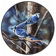 Glassmasters Blue Jays