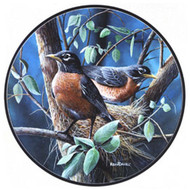 Glassmasters Robins