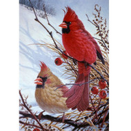 Glassmasters Windy Cardinals