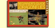 Stokes Beginning Guide to Dragonflies