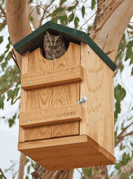 Songbird Essentials Screech Owl House