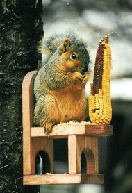 Songbird Essentials Squirrel Chair