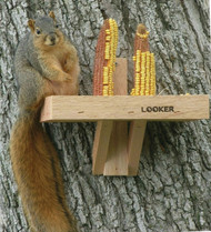 Songbird Essentials Squirrel Feeder