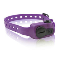 Dogtra iQ Bark Collar Purple