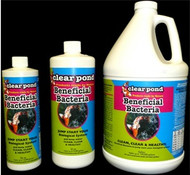 The new revolutionary Clear Pond BSL Liquid formula carries beneficial bacteria that help in keeping the fish pond neat, clean and healthy. One ounce of Clear Pond BSL can treat up to 1000 gallons of water effectively. It constitutes of microorganisms (Nitrobacter and Nitrosomos mainly) that are known to be advantageous to ecological balance of the pool or fish pond. It clears out foul smell, kills contaminated compounds and improves the overall level of oxygen in the water. Using Clear Pond BSL Liquid at regular intervals ensure that the kingdom of algae is killed before it even starts to begin. Algae is nothing but group of polyphyletic and paraphyletic microbes that spread a think green layer on the surface of water making it look dirty, unfit and hazardous for environment. Specially designed Clear Pond BSL Liquid formula can save your pond from this unattractive degradation. Clear Pond exhibits maximum affect when used in water which has the temperature of below 50-¬F and above 90-¬F.