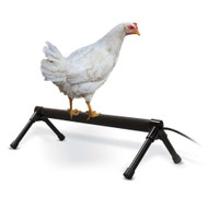 K & H Thermo-Chicken Perch HEATED 36 inch 60W KH2111