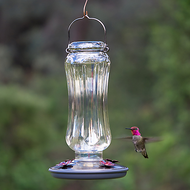 Perky Pet Starglow Vintage Glass Hummingbird Feeder 8132-2