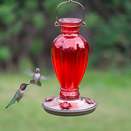 Perky Pet Red Daisy Vase Vintage Glass Hummingbird Feeder 8133-2