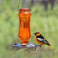 Perky Pet Orange Carnival Vintage Glass Oriole Bird Feeder 8135-2