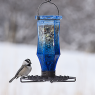 Perky Pet Sapphire Starburst Vintage Glass Wild Bird Feeder 8138-2