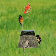 Perky Pet 82 Cardinal Decorative Bird Feeder or Plant Hanging Hook