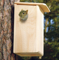 Coveside Conservation Squirrel House COV-20000