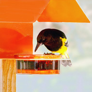 Couroone Metal & Glass Bright Orange Colored Bird Feeder 447200O