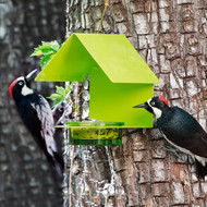 Couroone Metal & Glass Bright Lime Colored Bird Feeder 447200L