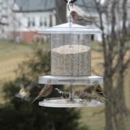 All Weather Bird Feeder Holds 4 Qts AWFF734