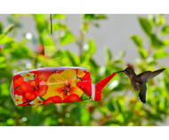 EZ Nectar All-Natural Hummingbird Feeder Ready to Use 11 oz 