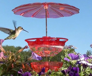 Aspects 436 HummBlossom Hummingbird Feeders Accessory Kit ASPECTS436