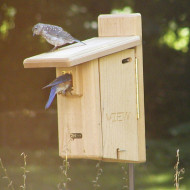 Ultimate Bluebird House With Predator Guard in Cedar BBULT