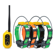 Dogtra PATHFINDER2 GPS 4 Dog Tracking &Training, E-Fence & LED Beacon Light Collar