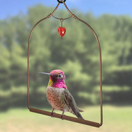 
POP’S The Original Hummingbird Swing for Outdoors - Perfect Bird Perch for Small Birds - Sturdy Steel Metal Swing Set with Hook Included (1 Pack, Copper)