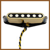 Starwood Telecaster Neck Pickup Gold