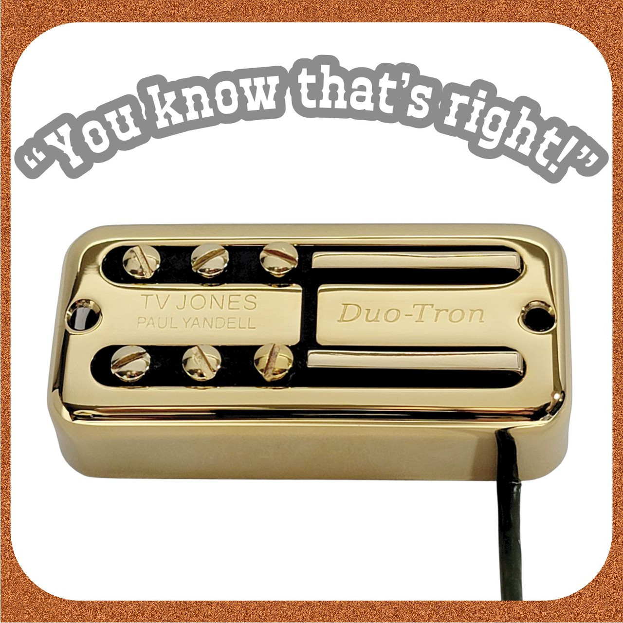 Paul Yandell Duo-Tron Neck Pickup-Universal Mount-TV Jones